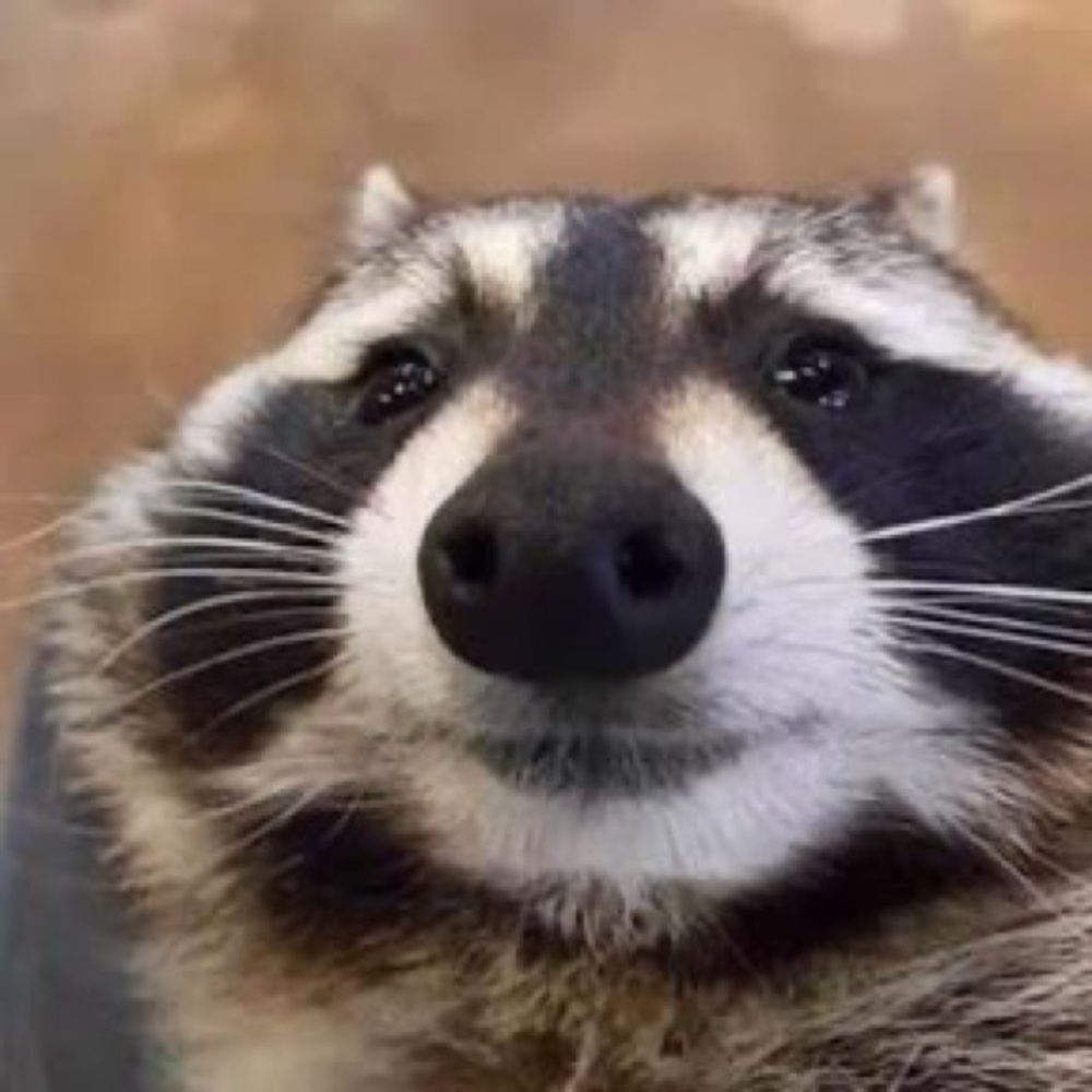 Meet your Posher, Faedra